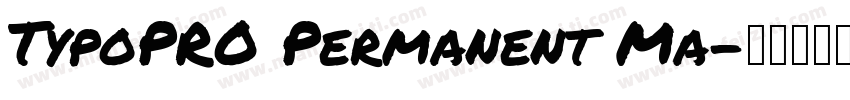 TypoPRO Permanent Ma字体转换